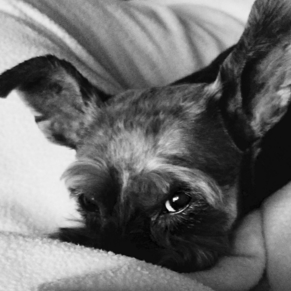 Meet your Posher, Rocio - Picture 4 of 5